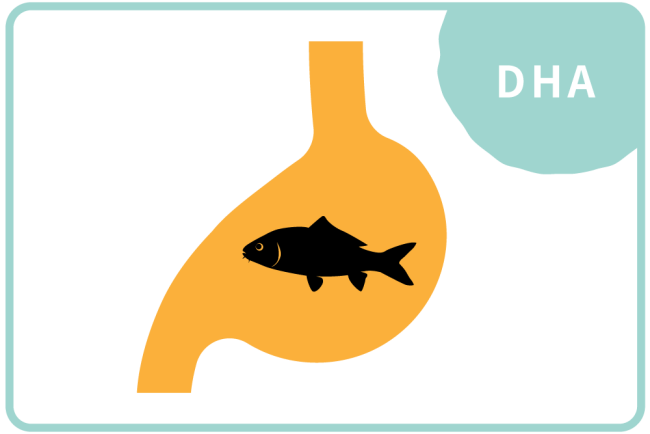 DHA