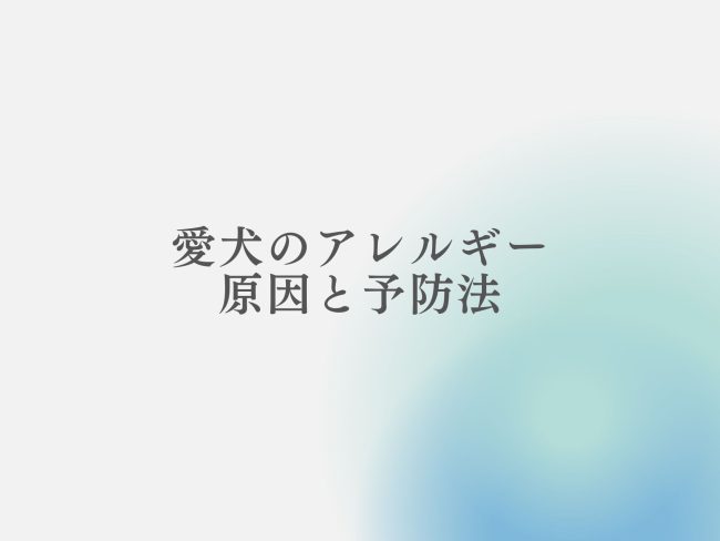 愛犬のアレルギー症状を理解する。原因と予防法について