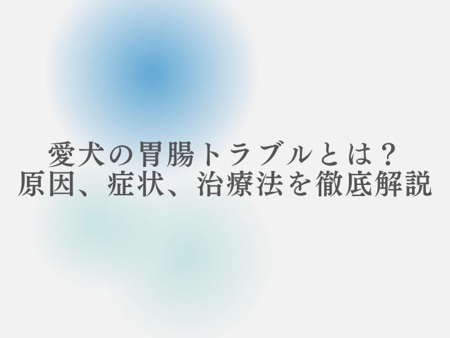愛犬の下痢や嘔吐。胃腸トラブルの原因から効果的な治療法まで徹底解説