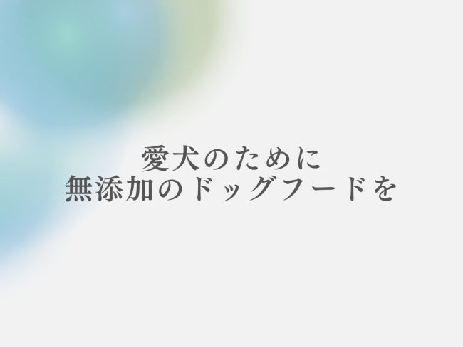 愛犬のために無添加の高級ドッグフードを！原材料や包装タイプにこだわろう
