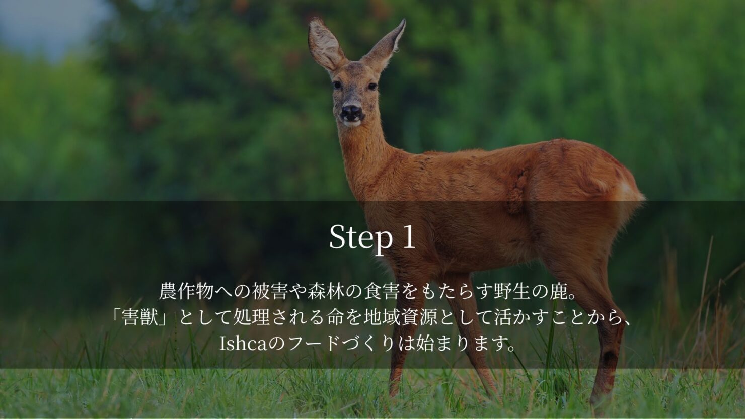 製造工程サムネイル