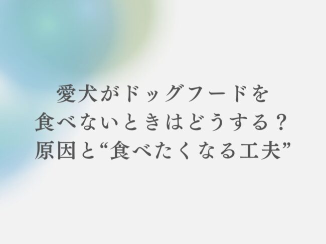 愛犬がドッグフードを食べないときはどうする?原因と“食べたくなる工夫”