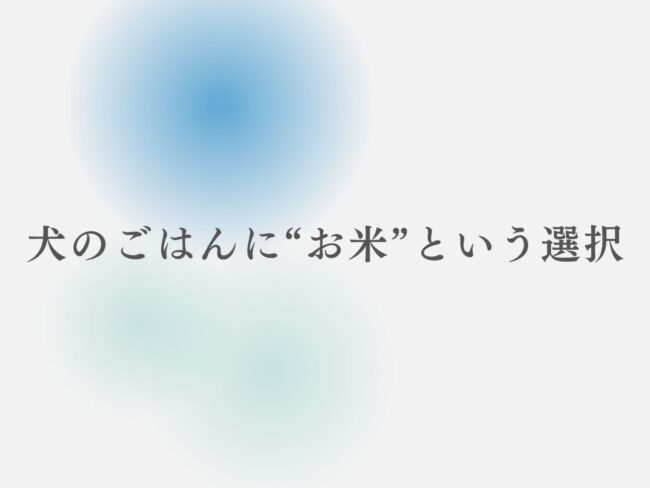 犬のごはんに“お米”という選択。Ishcaがお米を使う理由と、そのメリット