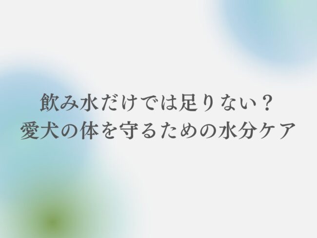 飲み水だけでは足りない？愛犬の体を守るための水分ケア