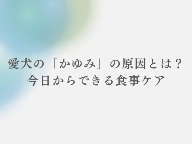 愛犬の「かゆみ」の原因とは？今日からできる食事ケア