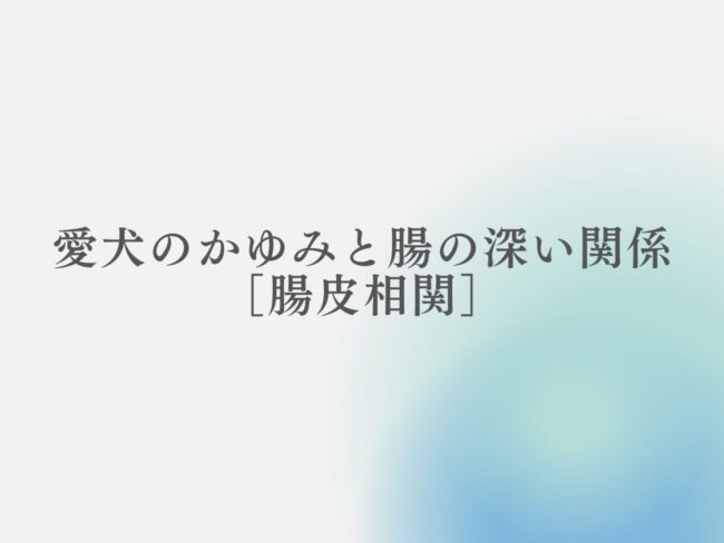 愛犬のかゆみと腸の深い関係［腸皮相関］