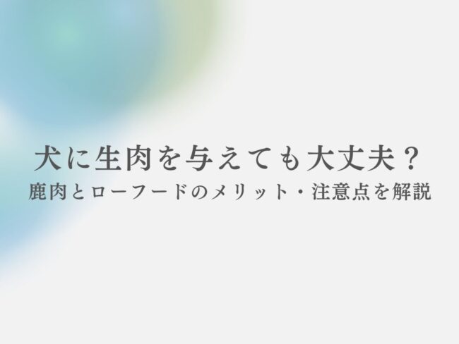 犬に生肉を与えても大丈夫？鹿肉とローフードのメリット・注意点を解説