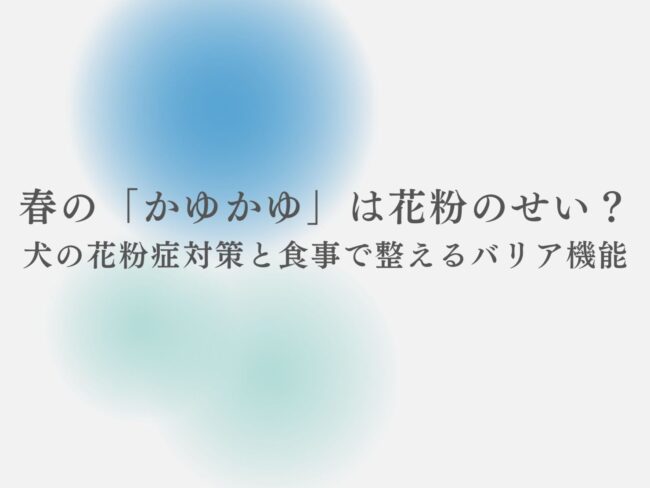 春の「かゆかゆ」は花粉のせい?犬の花粉症対策と、食事で整えるバリア機能