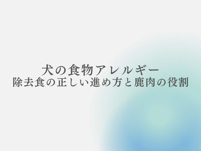 犬の食物アレルギー、除去食の正しい進め方と鹿肉の役割